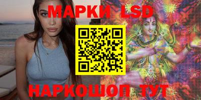 PSILOCYBIN Владикавказ