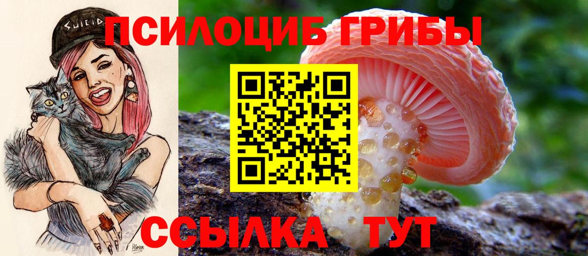 Галлюциногенные грибы MAGIC MUSHROOMS  Вход с VPN  Димитровград  Псилоцибиновые грибы прущие грибы 